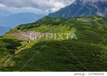 北アルプス・弓折岳稜線を行く登山者 北アルプス・弓折岳稜線を行く登山者 137469591