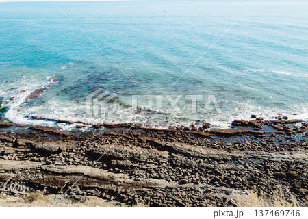 LAの日常とは#14 137469746