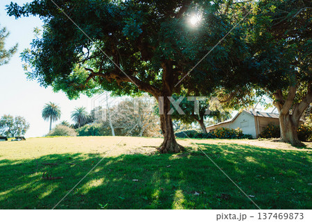 LAの日常とは#75 LAの日常とは#75 137469873