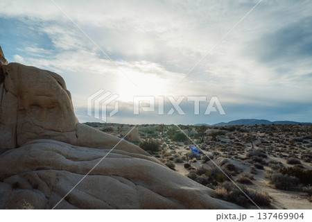 LAの日常とは#88 137469904