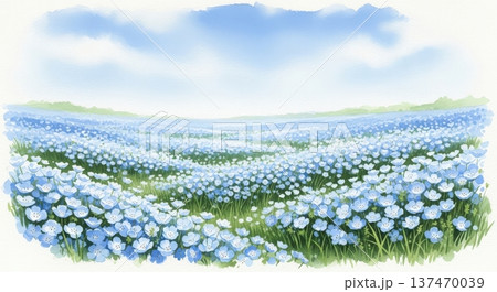 春のネモフィラが咲き乱れる花畑の幻想的な水彩画イラスト 137470039