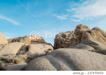 ジョシュアパワー#5 137470058