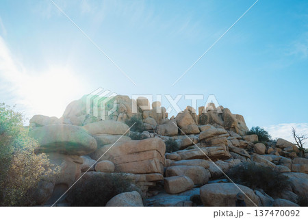 ジョシュアパワー#39 137470092