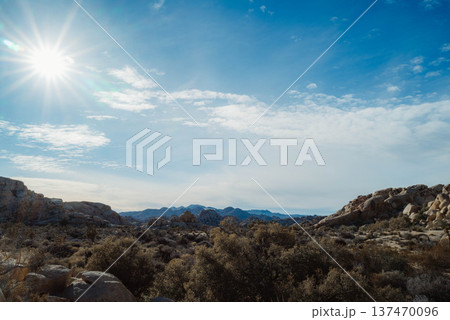 ジョシュアパワー#36 137470096