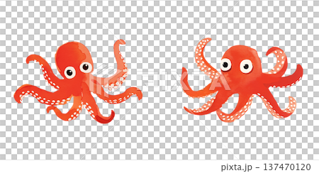 蛸 タコ 蛸 タコ 137470120