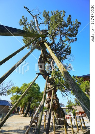 新北神社 137470536