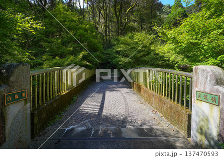 清水の滝 137470593