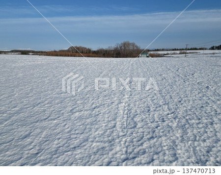 大空町の農村風景の冬景色の空撮 大空町の農村風景の冬景色の空撮 137470713