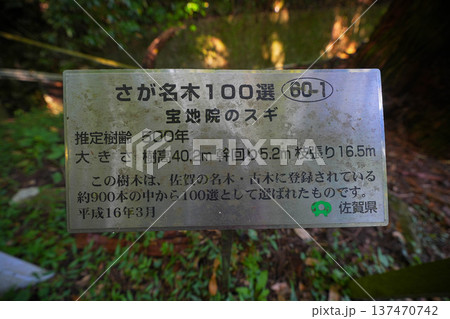 清水観世音菩薩 137470742