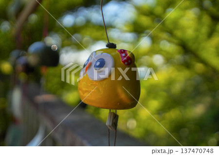 清水観世音菩薩 清水観世音菩薩 137470748