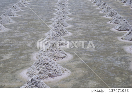 heap of sea salt heap of sea salt 137471088