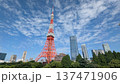 青空と東京タワー 137471906
