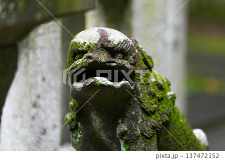 伊万里神社 伊万里神社 137472152
