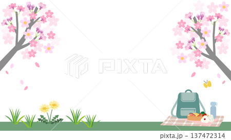 桜とたんぽぽのお花見背景・春のピクニック風イラスト素材 137472314