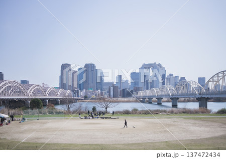 大阪 淀川河川敷 大阪 淀川河川敷 137472434