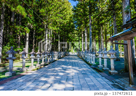 高野山 奥之院　杉木立の参道 137472611