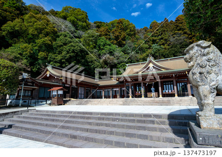 鹿児島縣護國神社の社殿と狛犬(鹿児島市) 鹿児島縣護國神社の社殿と狛犬(鹿児島市) 137473197