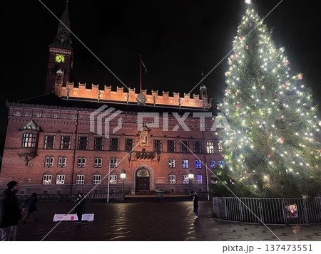 冬のコペンハーゲン市庁舎前の巨大クリスマスツリー夜景 冬のコペンハーゲン市庁舎前の巨大クリスマスツリー夜景 137473551