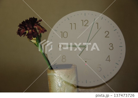 枯れた花と時計 枯れた花と時計 137473726