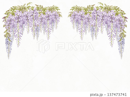藤の花の花枠3 藤の花の花枠3 137473741
