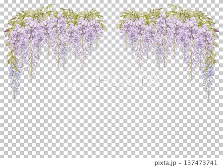 紫藤花框 3 紫藤花框 3 137473741