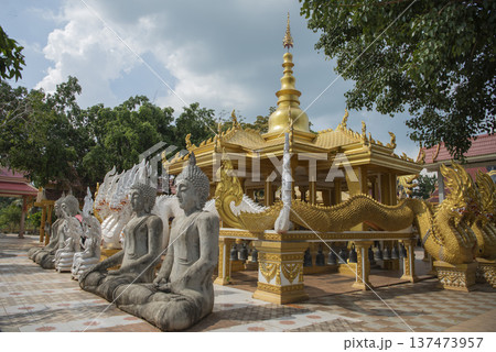 THAILAND SA KAEO WAT MAE YA SOM THAILAND SA KAEO WAT MAE YA SOM 137473957