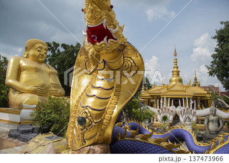 THAILAND SA KAEO WAT MAE YA SOM THAILAND SA KAEO WAT MAE YA SOM 137473966