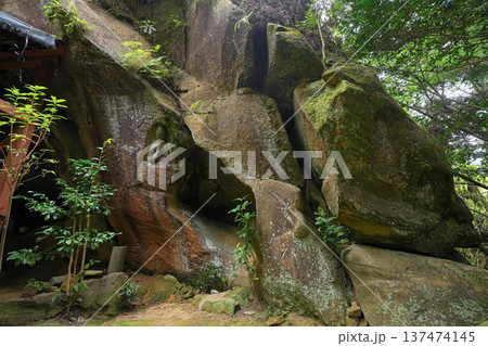 鵜殿石仏群 137474145