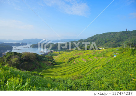 大浦の棚田 大浦の棚田 137474237