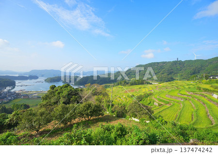大浦の棚田 137474242
