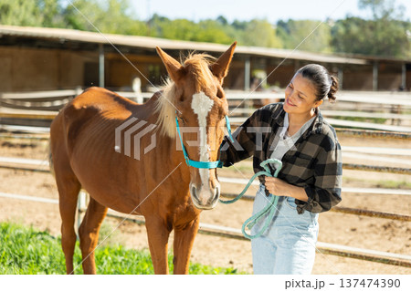 Asian girl, owner of horse, walks pet outdoor in paddock Asian girl, owner of horse, walks pet outdoor in paddock 137474390