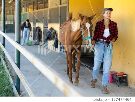 Young woman leads horse out of stable Young woman leads horse out of stable 137474464