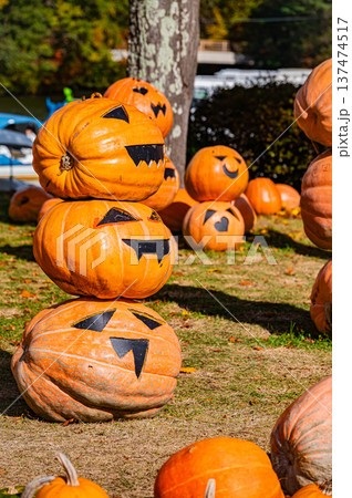 北海道・大沼国定公園に並ぶハロウィンのかぼちゃと秋の風景 北海道・大沼国定公園に並ぶハロウィンのかぼちゃと秋の風景 137474517