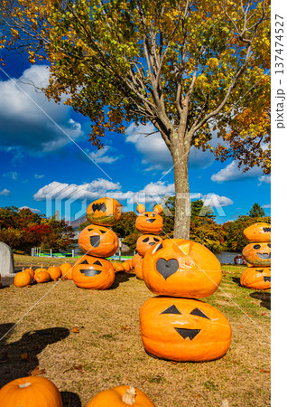 北海道・大沼国定公園に並ぶハロウィンのかぼちゃと秋の風景 北海道・大沼国定公園に並ぶハロウィンのかぼちゃと秋の風景 137474527