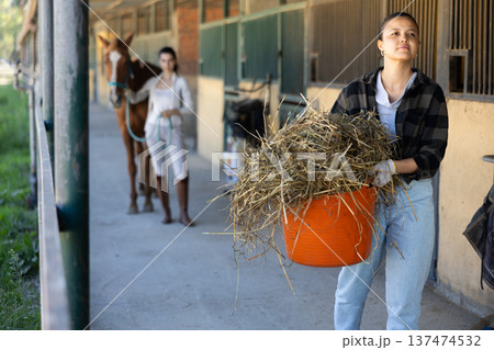 Young woman with bucket of hay in stables 137474532