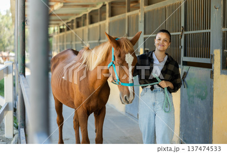 Asian female worker takes horse out of stall, holds animal by bridle and leads pet for walk 137474533