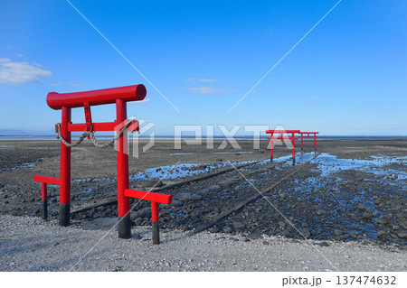 大魚神社 大魚神社 137474632