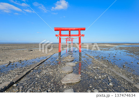 大魚神社 大魚神社 137474634