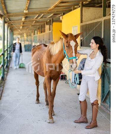 Armenian female worker takes horse out of stall, holds animal by bridle and leads pet for walk 137474779
