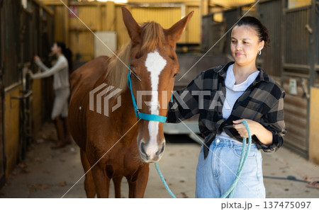 Woman with tethered horse in stable 137475097