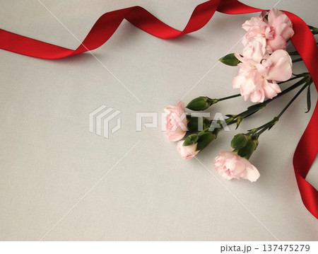 赤いリボンとピンクのカーネーション 137475279