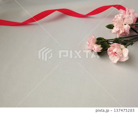 赤いリボンとピンクのカーネーション 137475283