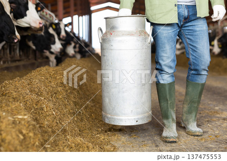 Farmer carrying milk can in cowhouse Farmer carrying milk can in cowhouse 137475553