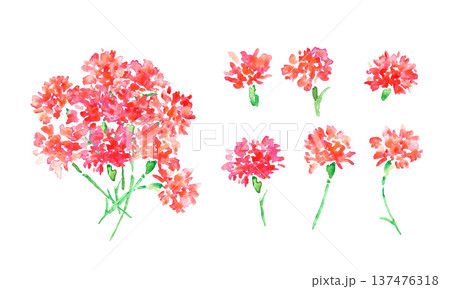 水彩画。水彩タッチのカーネーションベクターイラスト。母の日のカーネーション背景。 137476318