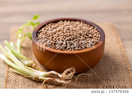 Coriander seeds and root, Thai food ingredients Coriander seeds and root, Thai food ingredients 137476388