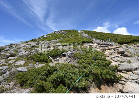 乗鞍岳登山、北アルプス、長野県、岐阜県 137476441