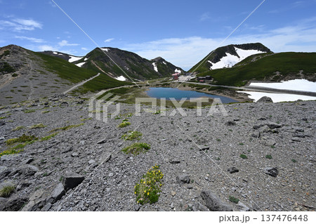 乗鞍岳登山、北アルプス、長野県、岐阜県 137476448
