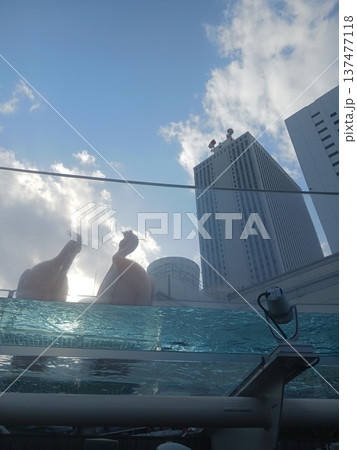 水族館のペンギンと都市のビル風景|青空と水槽のユニークな景観 水族館のペンギンと都市のビル風景|青空と水槽のユニークな景観 137477118