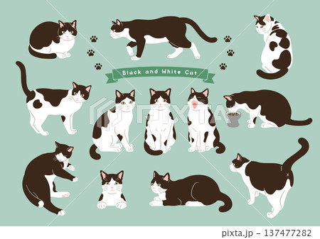 猫のいろいろなポーズセット ハチワレ 動作バリエーション 137477282