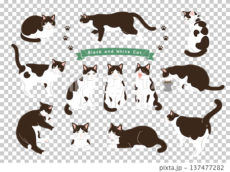 猫のいろいろなポーズセット ハチワレ 動作バリエーション 137477282